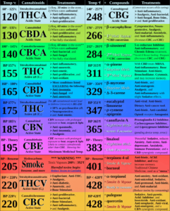 Decarboxylation Machines Best Decarb Options Reviewed