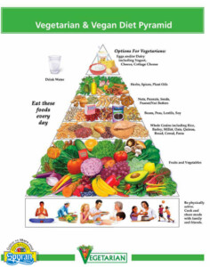 The Healthy Vegetarian Vegan Food Pyramid Infographic NaturalON